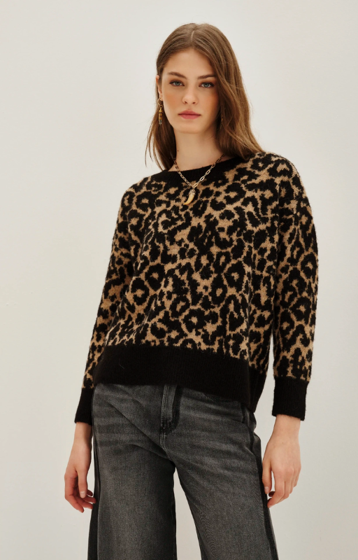 swe. animal chita leopardo (2)