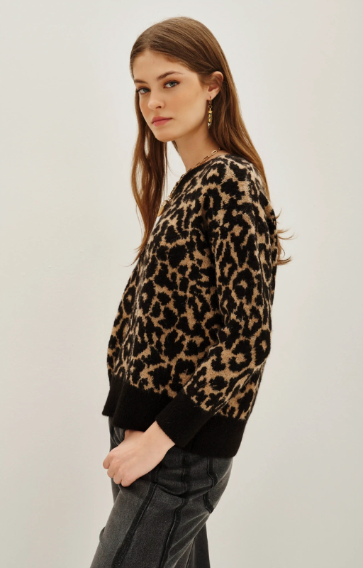 swe. animal chita leopardo (3)