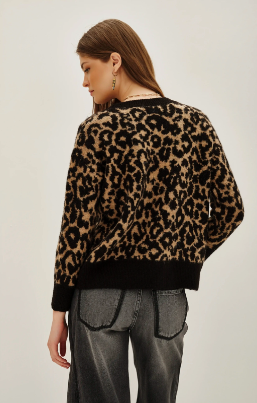 swe. animal chita leopardo (4)