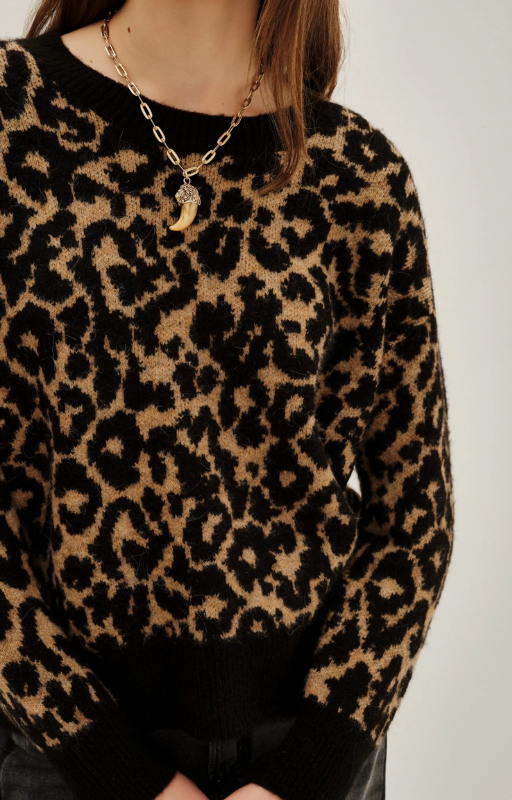 swe. animal chita leopardo (5)